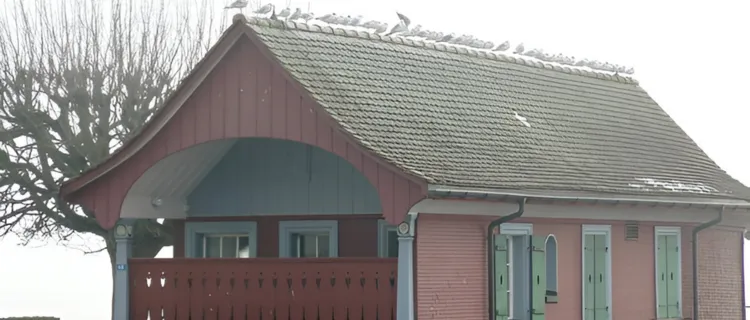 Model Atap Rumah Memanjang ke Belakang, Modern dan Unik